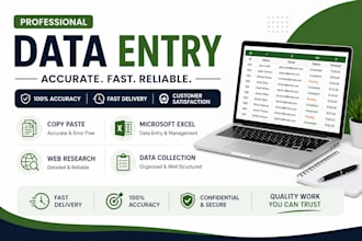 do accurate data entry,copy paste,excel and web research