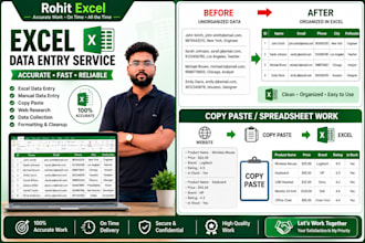 do excel data entry, manual data entry and copy paste