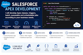 develop salesforce apex classes, triggers, batch and queueable apex