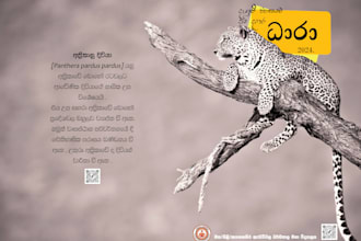 design creative promotional and event posters