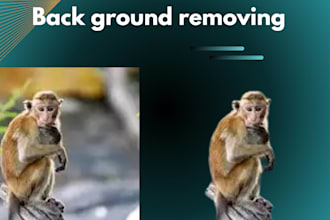 remove the background of your picture