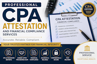 provide professional CPA attestation and financial compliance services