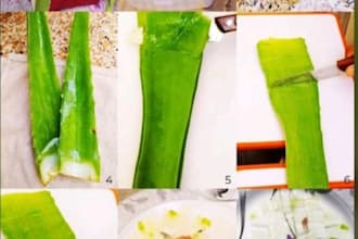 formulate natural products and write chemical reports