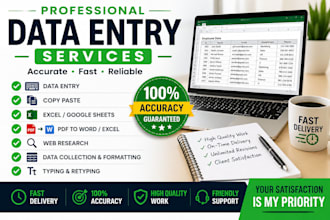 do professional data entry, copy