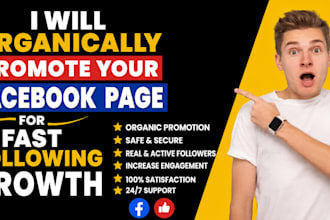 do organic facebook page promotion