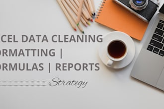 clean, format and organize excel data professionally