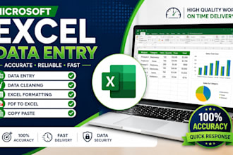 microsoft excel data entry