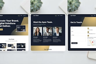 build a professional wordpress website