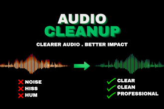 professionally clean, remove noise, hiss, hum, echo and enhance your audio