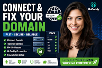 connect domain transfer domain fix dns issues and godaddy domain connection
