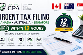 certified cpa for urgent tax filling canada australia singapore within 12 hours