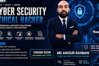 perform professional cyber security, vulnerability assessment