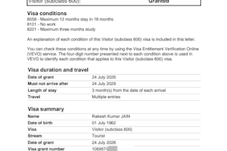 write a professional visa cover letter for any country