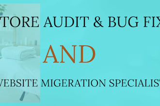 etsy store audit analysis bug fix shopify wordpress woocommerce website