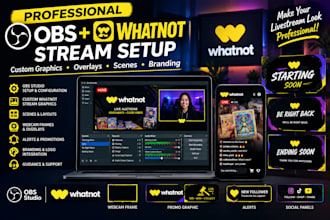 setup obs and  create professional whatnot stream graphics