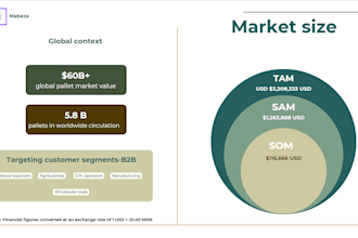 create a professional financial model