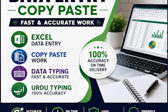 do excel data entry and spreadsheet formatting