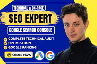 do website audit, google search console indexing, technical SEO, schema markup