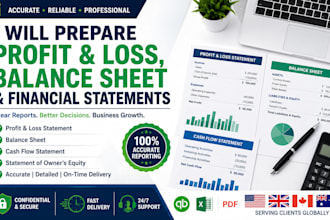 prepare profit and loss, balance sheet, and financial statements