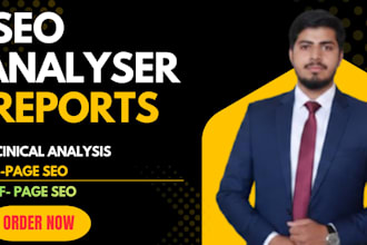 professional in SEO analysis and performance reports