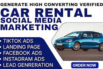 generate 700 premium car rental leads, facebook ,instagram ads