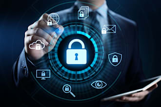 perform a website security audit and vulnerability assessment