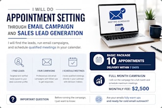 do appointment setting through email campaign and sales lead generation