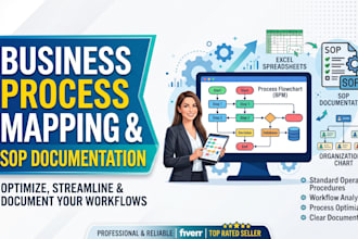 create professional business process maps and sop documentation