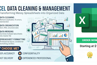 clean excel data, organize it, merge it and format it