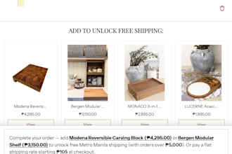 provide shopify development, customization, and support