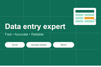 professional data entry, typing, and data cleanup
