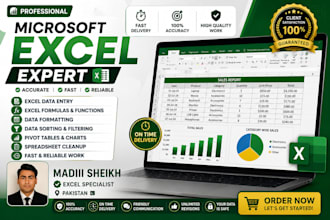 do professional microsoft excel work, formulas, charts and data cleaning