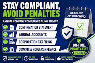 file your confirmation statement and annual company accounts
