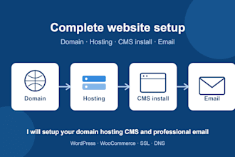 do complete website setup domain hosting cms and business email setup