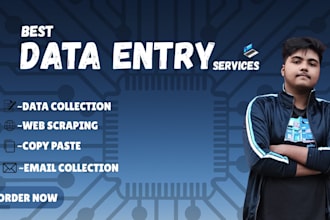 do data entry, copy paste, web scraping, data collection