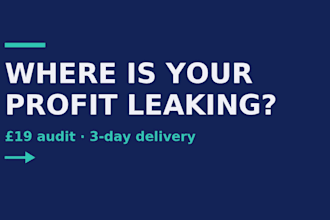 audit your quickbooks or excel books and find profit leaks