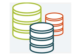 perform digital forensics and data auditing for complex litigation