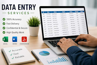 do accurate data entry, excel, copy paste
