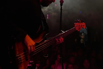 do record bass lines for you