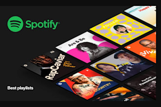 organic spotify playlist submission, spotify music promotion