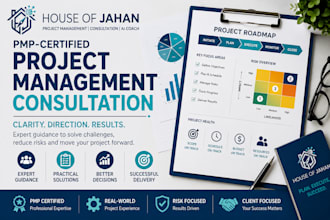 provide expert pmp project management consultation