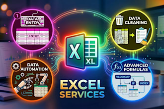 microsoft excel data entry and data cleaning