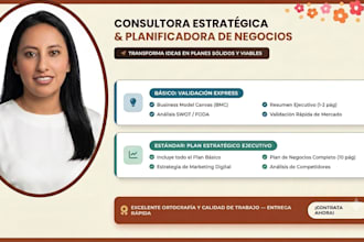 write a professional bussines plan and strategic canvas fot you startup