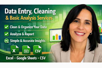 data entry, cleaning and basic analysis services