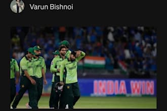 write engaging sports articles on football and cricket