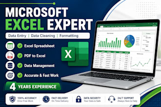 do microsoft excel data entry, data cleaning and formatting