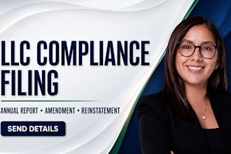 file your US llc annual report, amendment or reinstatement
