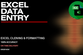 excel data entry and formatting