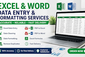 do professional microsoft excel and microsoft word data entry, formatting