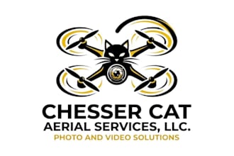 create a unique drone logo design